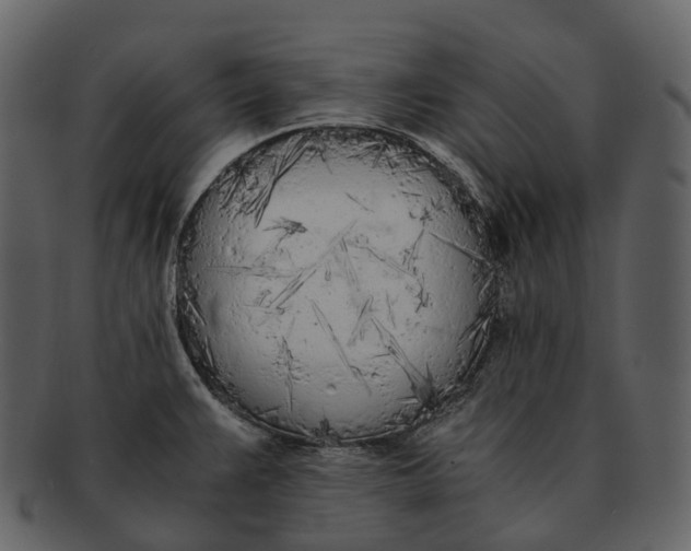 X0000092331383200710051307