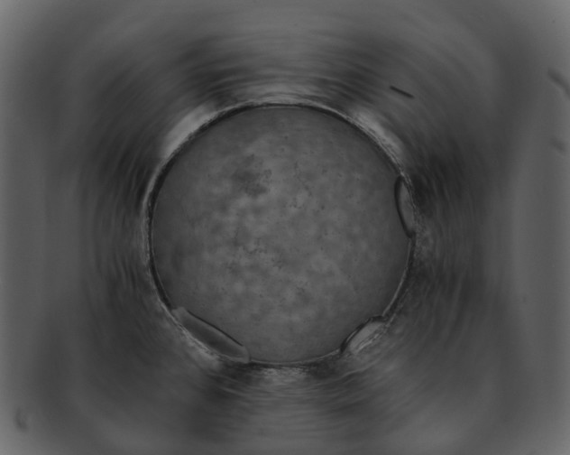 X0000092331384200710051307