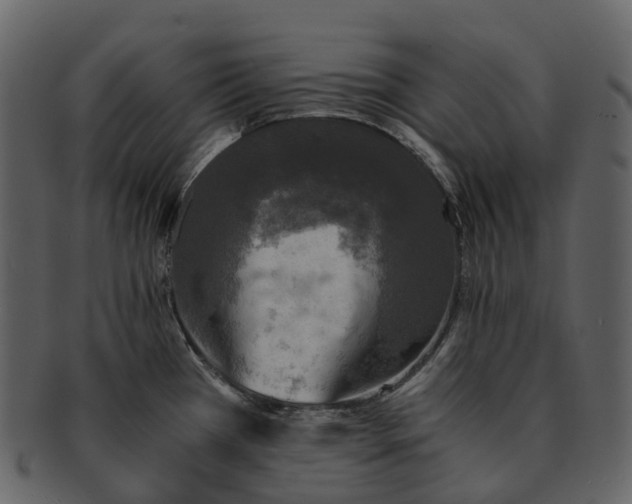 X0000092331385200710051307