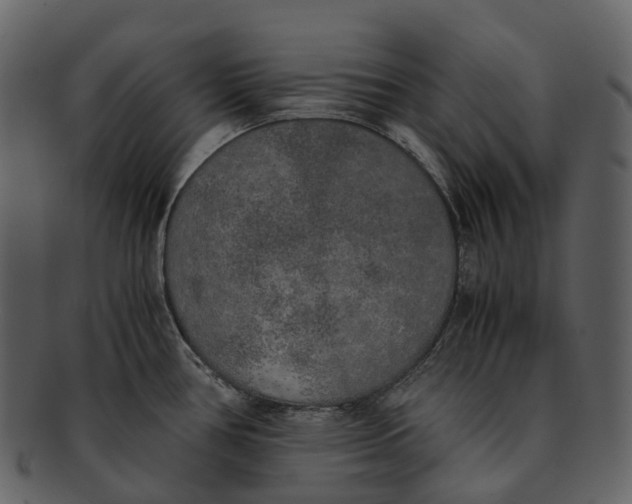 X0000092331386200710051307