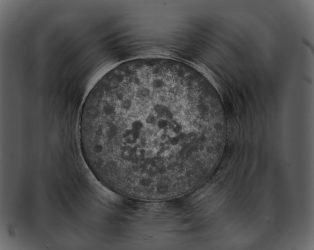 X0000092331387200710051307