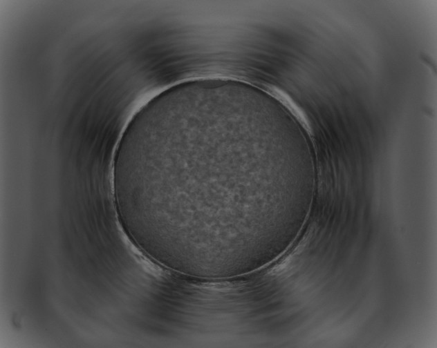 X0000092331388200710051307