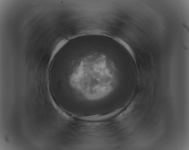 X0000092331389200710051307