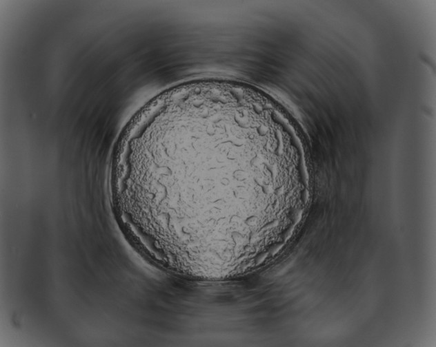 X0000092331391200710051307