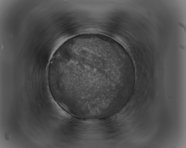 X0000092331392200710051307