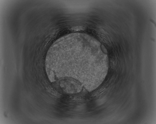 X0000092331393200710051306