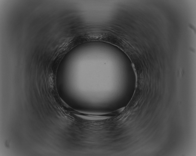 X0000092331394200710051306