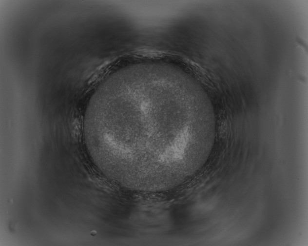 X0000092331397200710051306