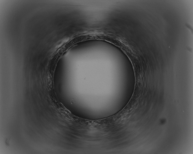 X0000092331398200710051306