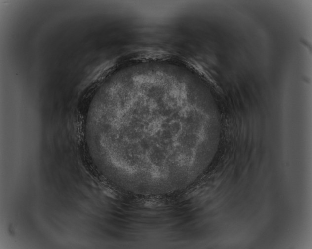 X0000092331399200710051306