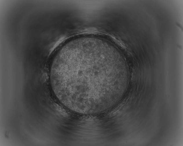 X0000092331400200710051306