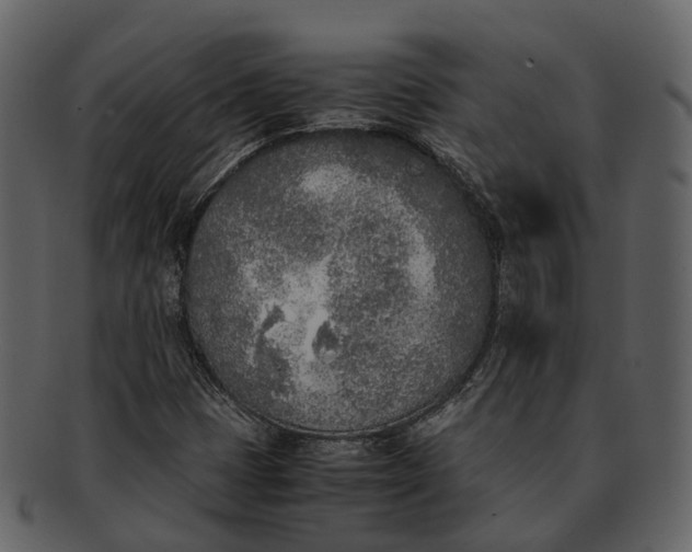 X0000092331401200710051306