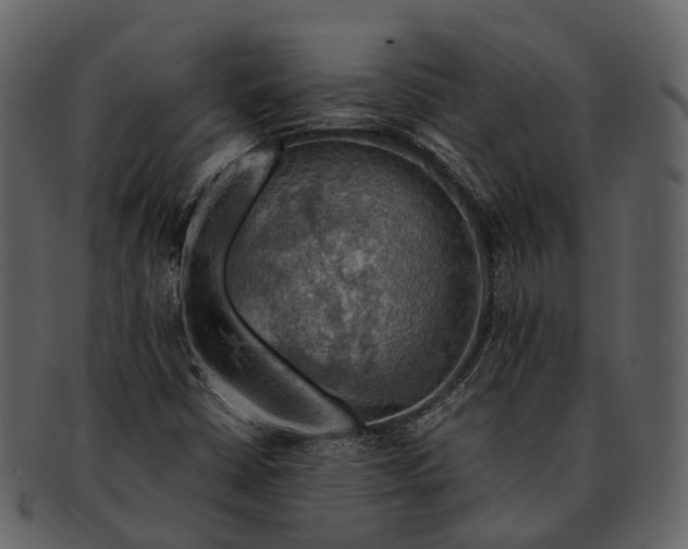 X0000092331402200710051306