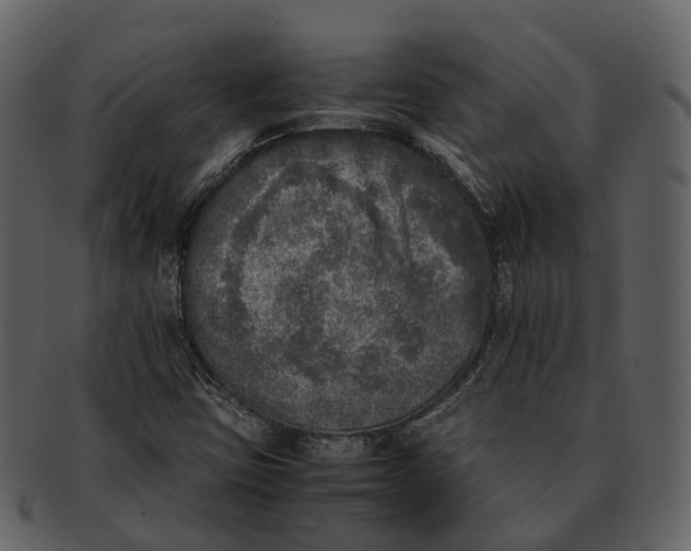 X0000092331403200710051306