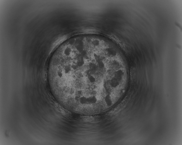 X0000092331405200710051306