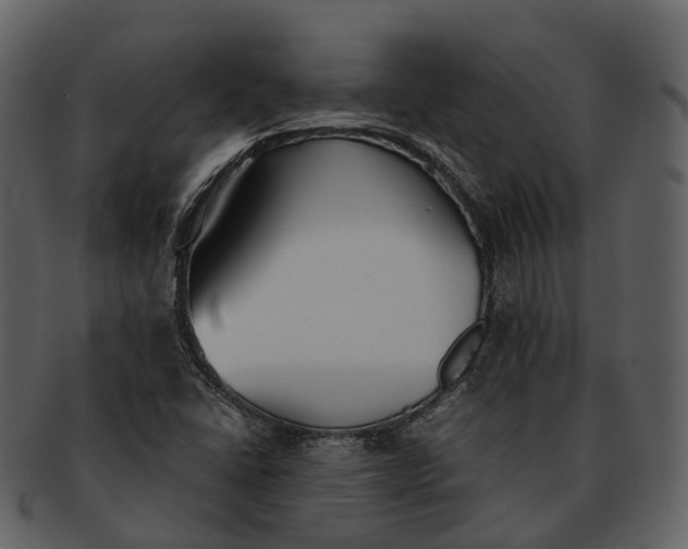 X0000092331406200710051306