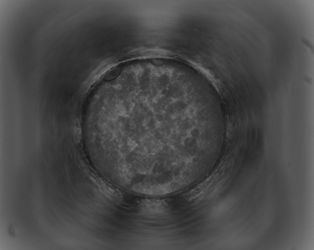 X0000092331407200710051306