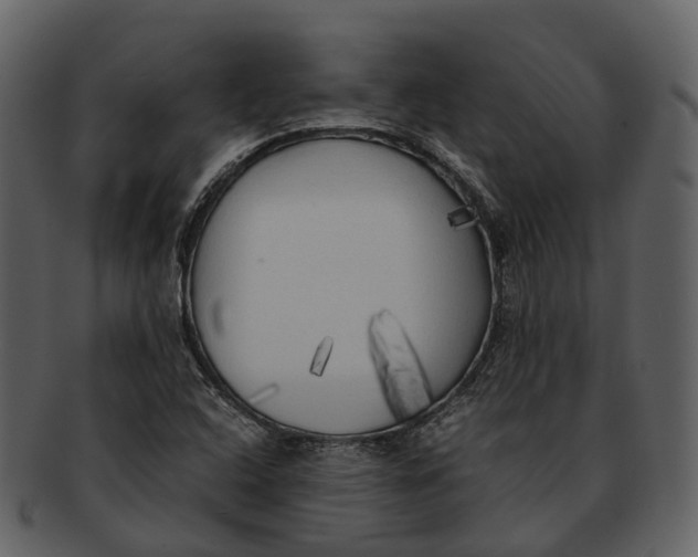 X0000092331408200710051306