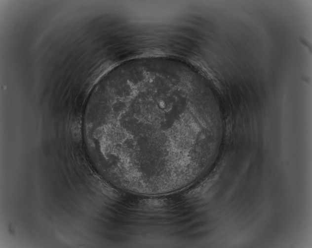 X0000092331409200710051306