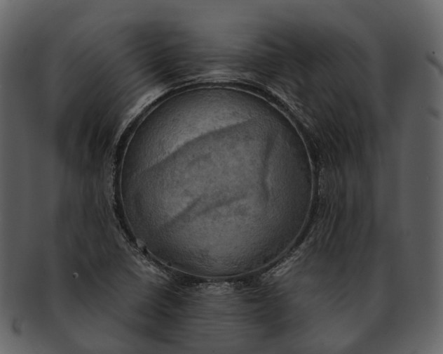 X0000092331410200710051306