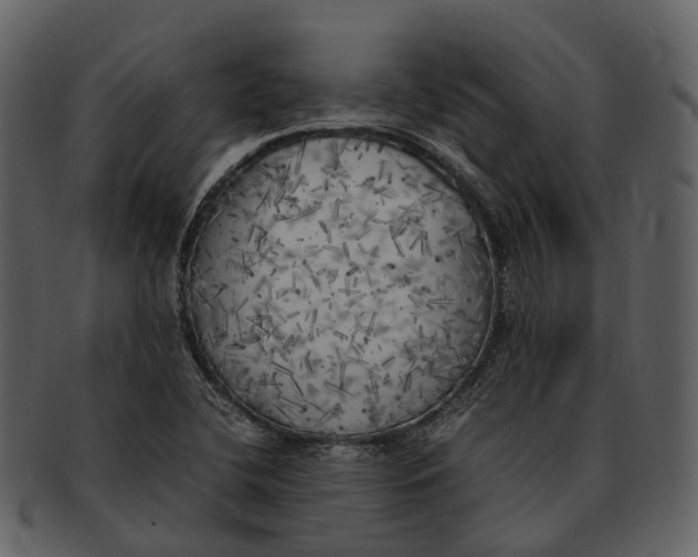 X0000092331412200710051306