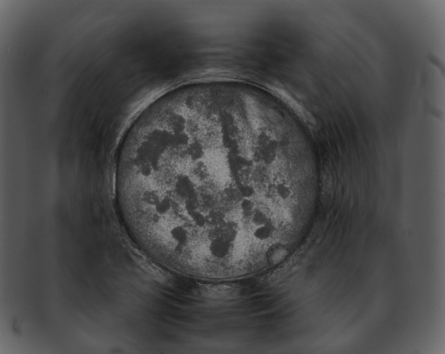 X0000092331413200710051306