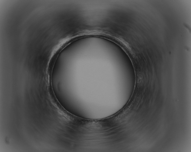 X0000092331414200710051306