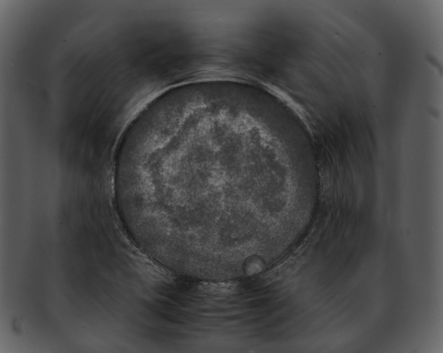 X0000092331415200710051306