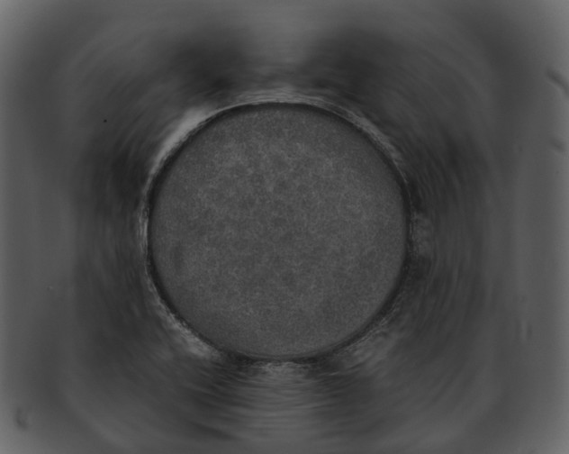 X0000092331416200710051306