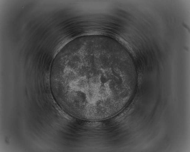 X0000092331417200710051306