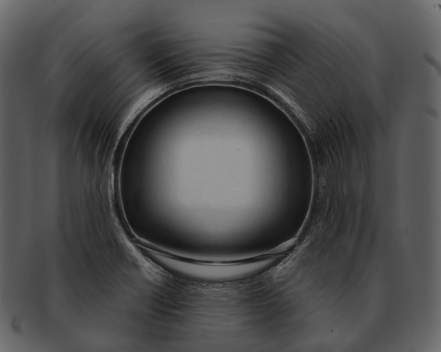 X0000092331418200710051306
