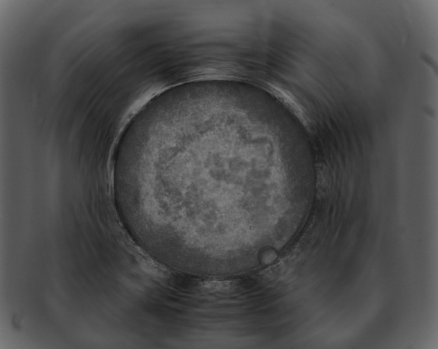X0000092331419200710051306