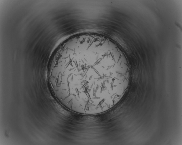 X0000092331420200710051306