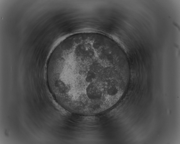 X0000092331421200710051306