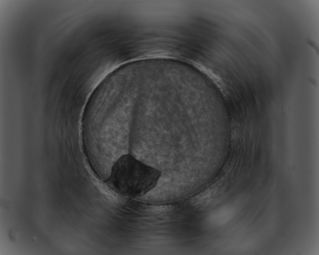 X0000092331423200710051306