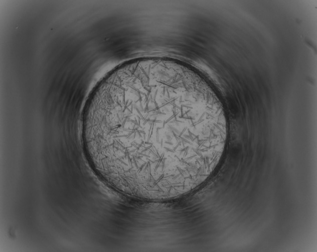 X0000092331424200710051306