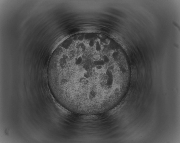 X0000092331425200710051306