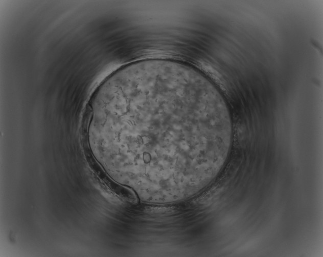 X0000092331427200710051306