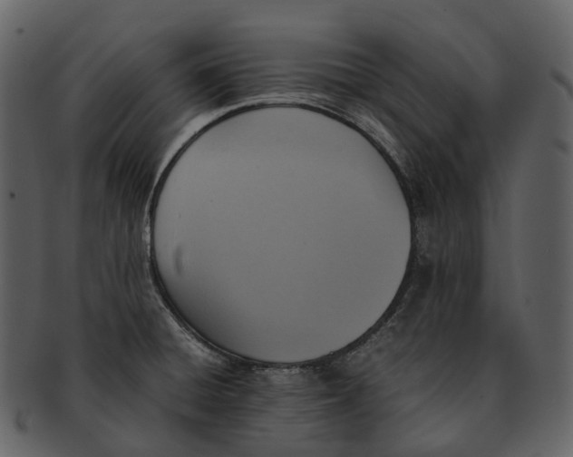 X0000092331428200710051307