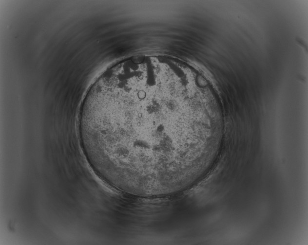 X0000092331429200710051307