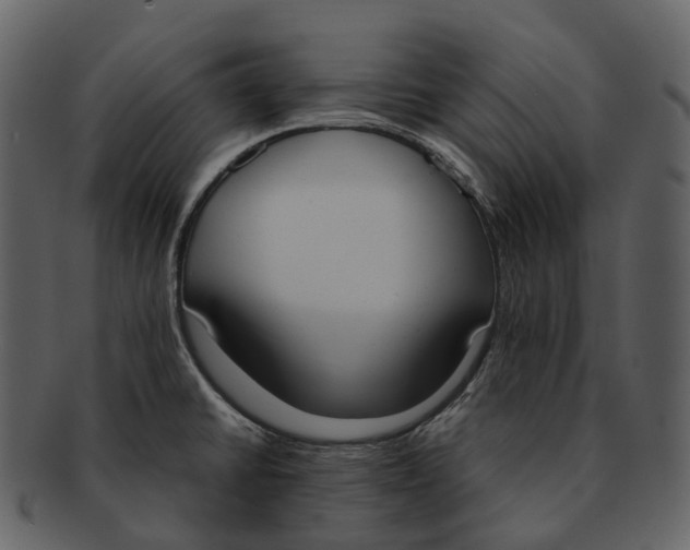 X0000092331430200710051307