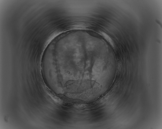 X0000092331435200710051307