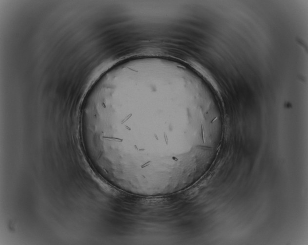 X0000092331437200710051307