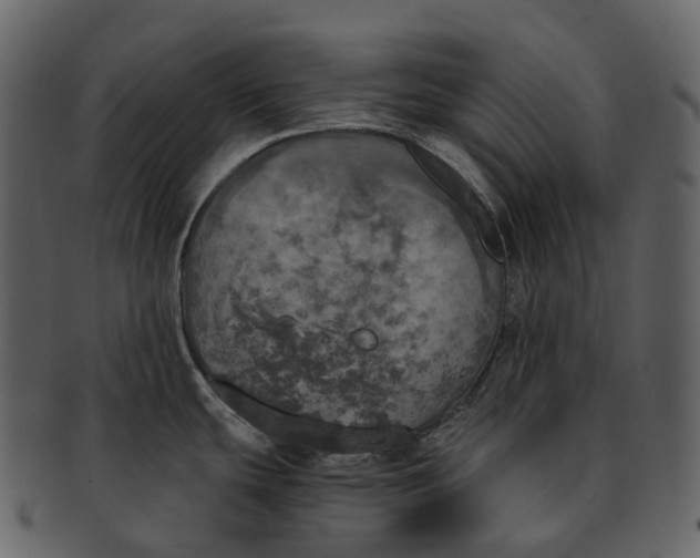 X0000092331439200710051307