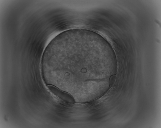 X0000092331440200710051307