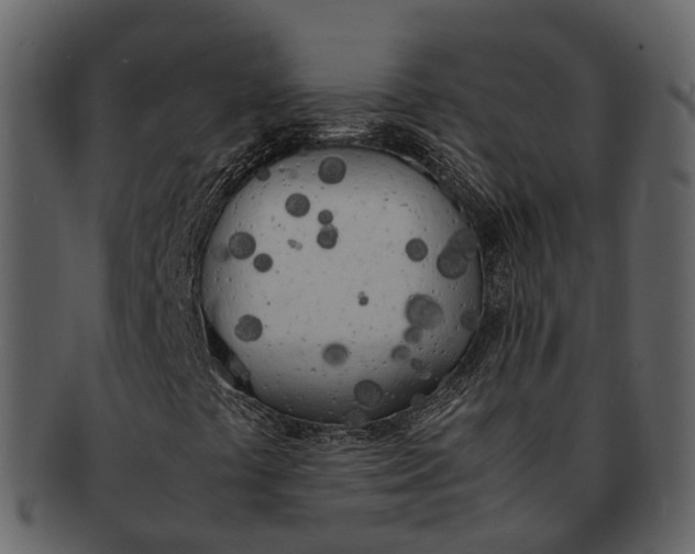 X0000092331441200710051306