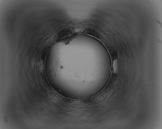 X0000092331443200710051306