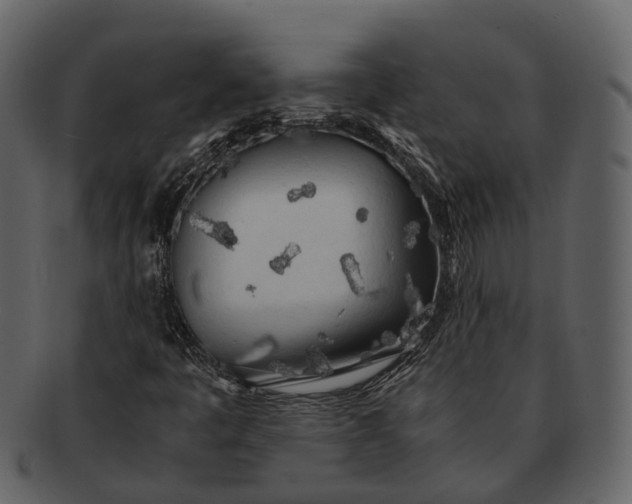 X0000092331445200710051306