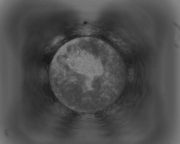 X0000092331446200710051306