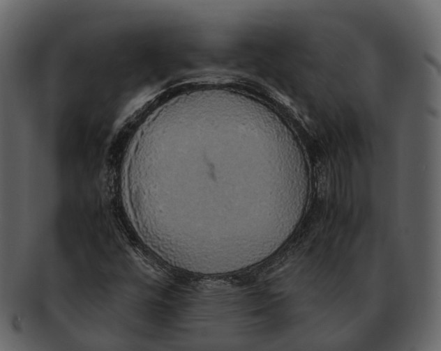 X0000092331448200710051306